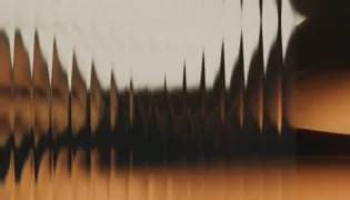 Web Hosting & Maintenance